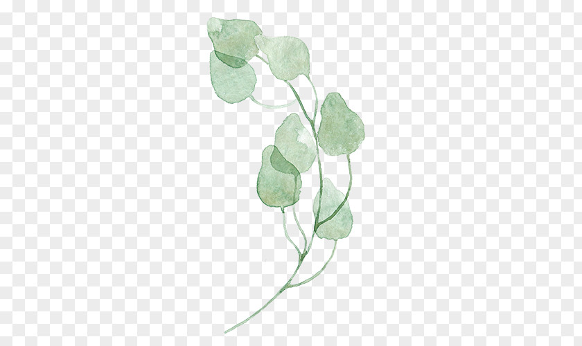 Watercolor Leaves Leaf Green Painting PNG