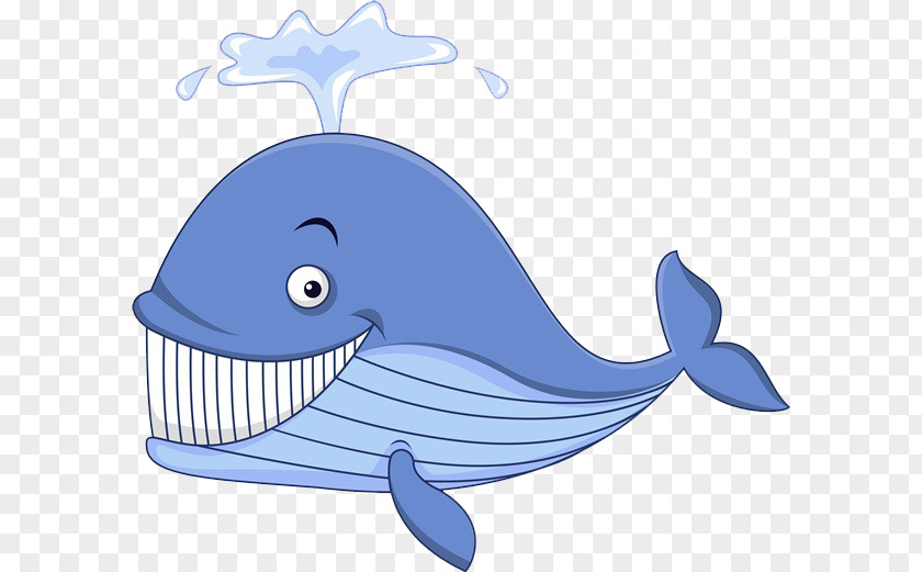 Whale's Gaze Cartoon Whale Illustration PNG