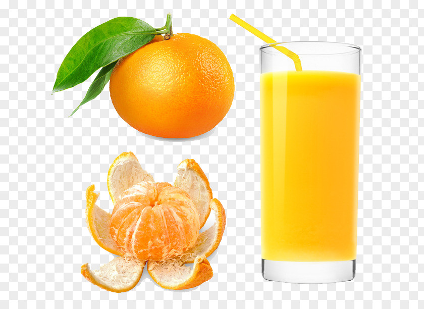 Glass Of Orange Juice Kumquat Tangerine Mandarin PNG