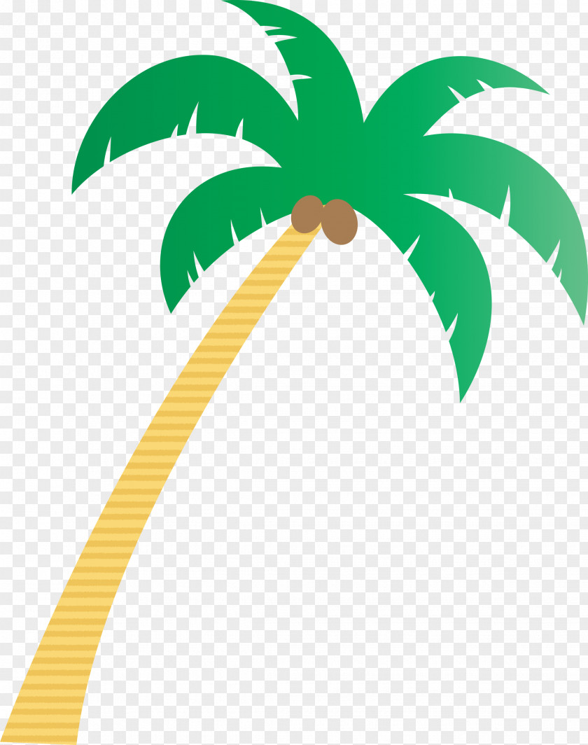 Palm Trees PNG