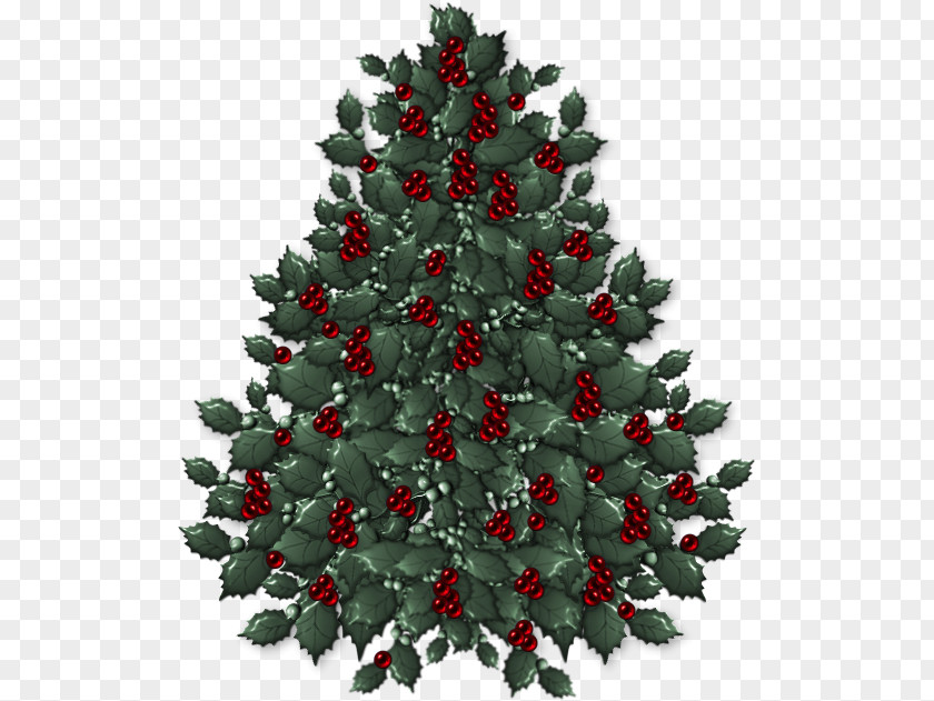 Quince Tree Flower Christmas New Year Day Ornament PNG