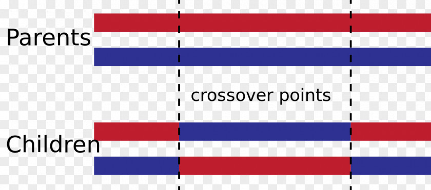 Genetic Algorithm Crossover Genetics Recombination PNG