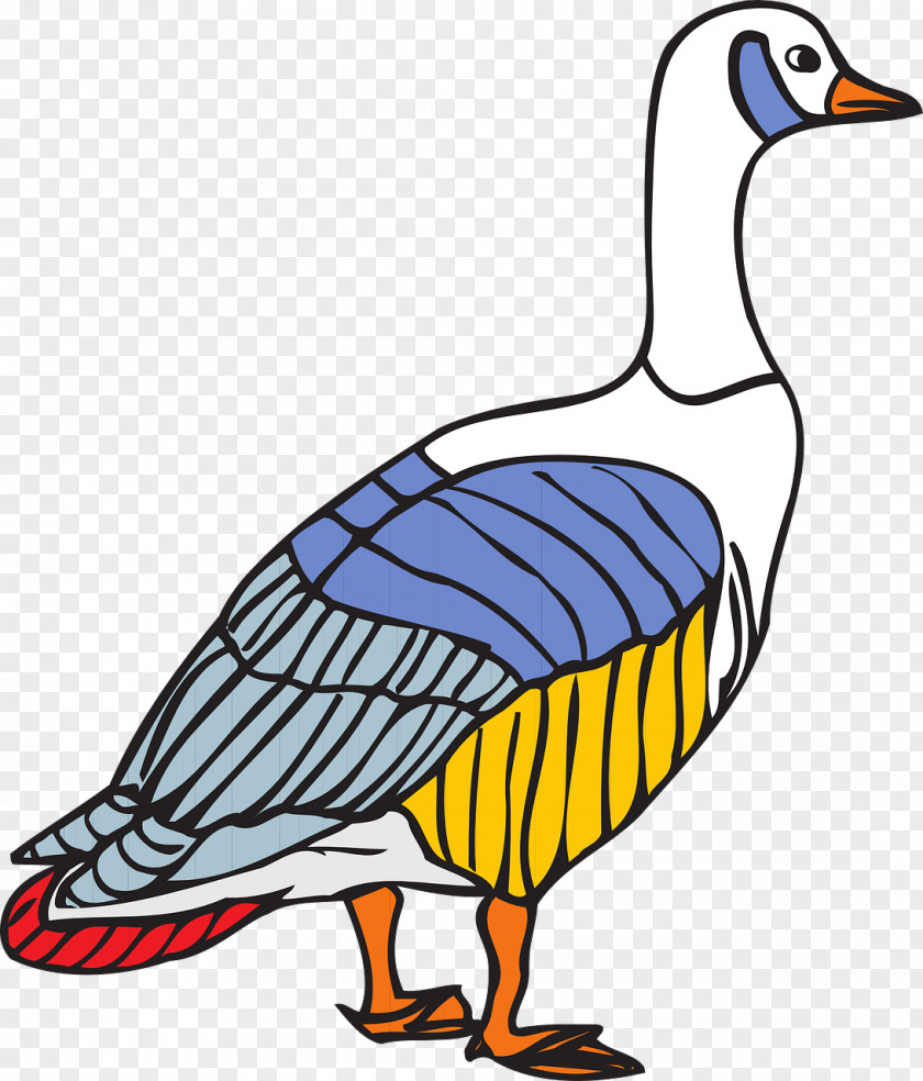 Goose Coloring Book Canada Drawing PNG