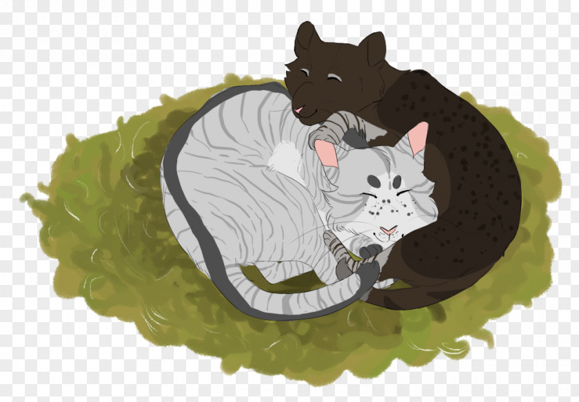 Kitten Whiskers Fauna Cartoon PNG