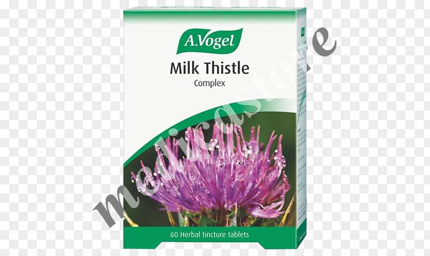 Milk Thistle Dietary Supplement Tablet Tincture PNG