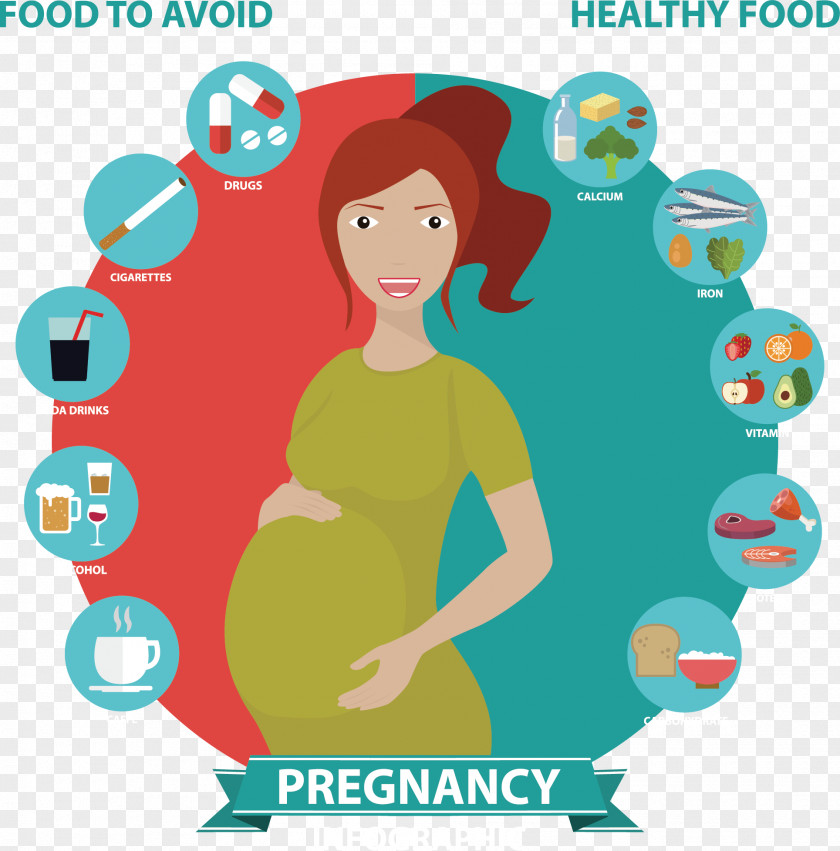 Pregnancy Dietary Considerations Nutrient Diet Download Infant PNG