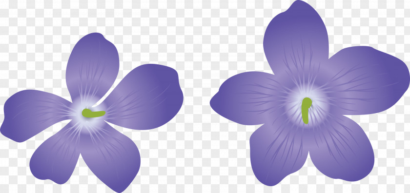 Violet Flower PNG