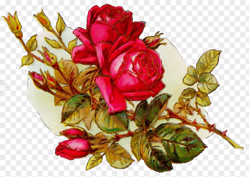 Flower Arranging Floristry Red Watercolor Flowers PNG
