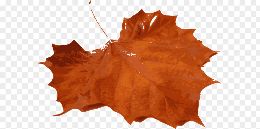 Orange Leaves Cliparts Autumn Leaf Color Maple Clip Art PNG