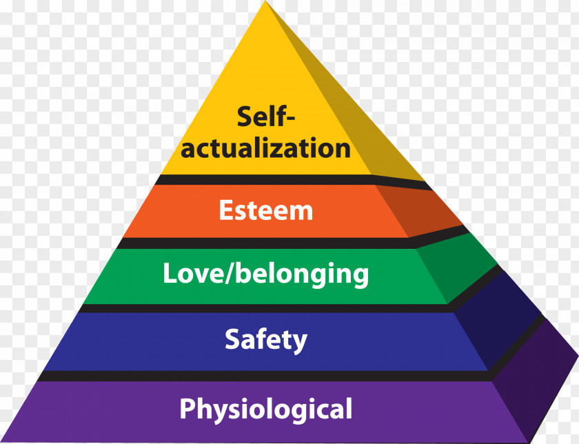 Pyramid 5 Step Maslow's Hierarchy Of Needs Humanistic Psychology Homo Sapiens PNG