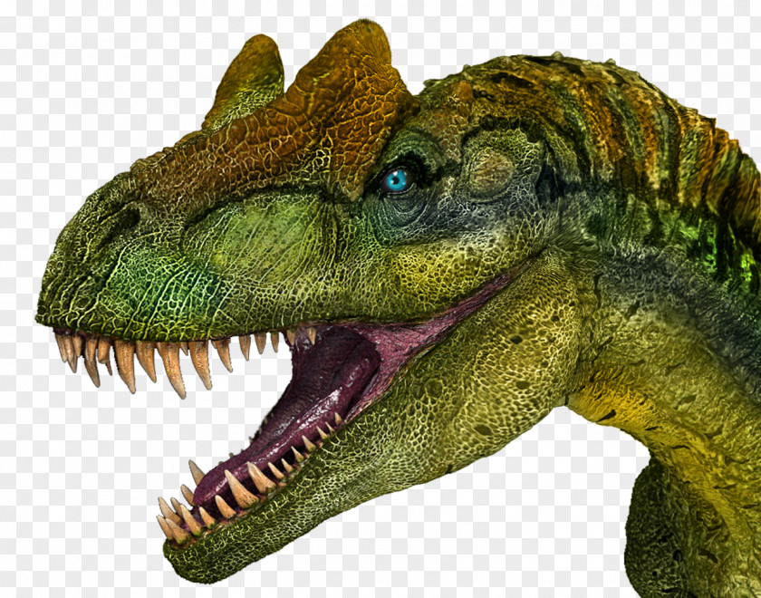Dinosaur Allosaurus Tyrannosaurus Carnotaurus Ceratosaurus PNG