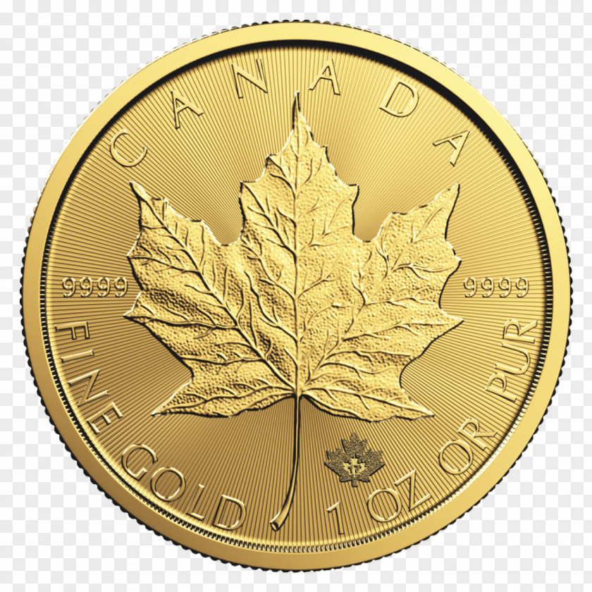 Gold Canadian Maple Leaf Silver Bullion Coin PNG