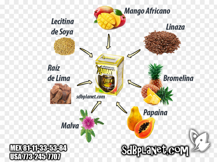 Linaza Dietary Supplement Vegetarian Cuisine Capsule Food Fat PNG