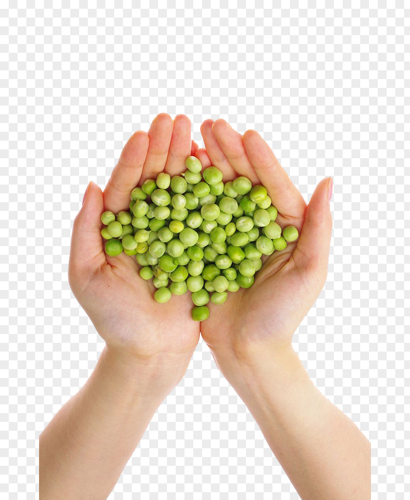 Pea Food Nutrition Bean PNG