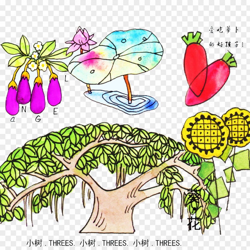 Plant Food Material Picture Clip Art PNG
