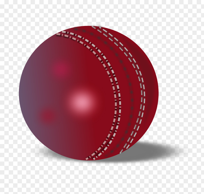 Sports Ball Pictures Pakistan National Cricket Team West Indies Australia World Cup PNG