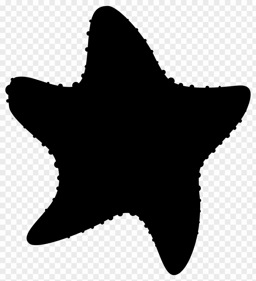 Starfish Clip Art Silhouette PNG