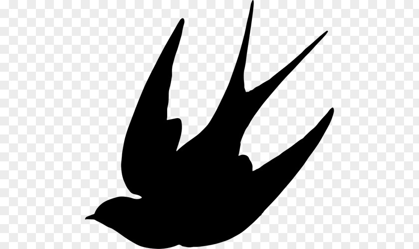 Vektor Swallow Bird Silhouette Clip Art PNG
