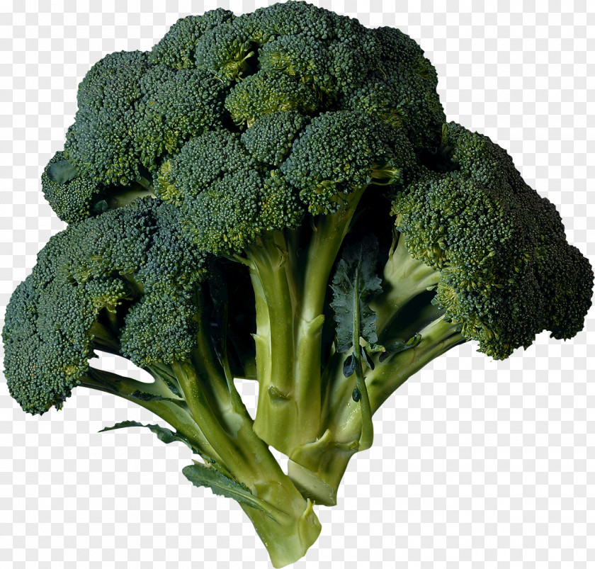 Broccoli Image Cabbage Kohlrabi Vegetable Cauliflower PNG