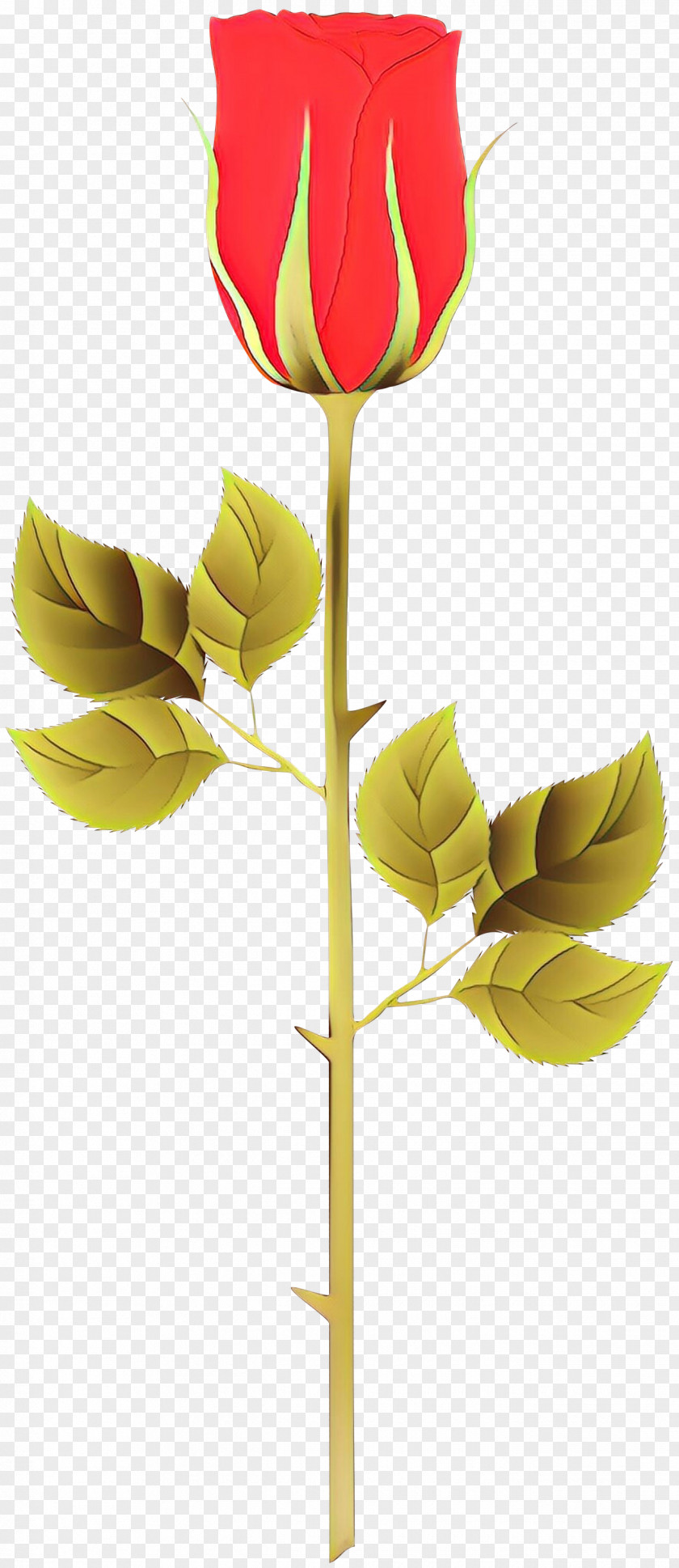 Bud Tulip Leaf Flower Yellow Plant Stem PNG