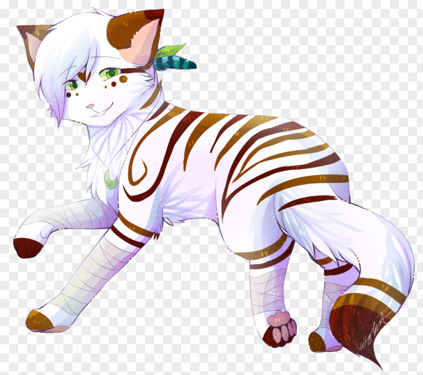 Cat Whiskers Tigerstar Warriors PNG
