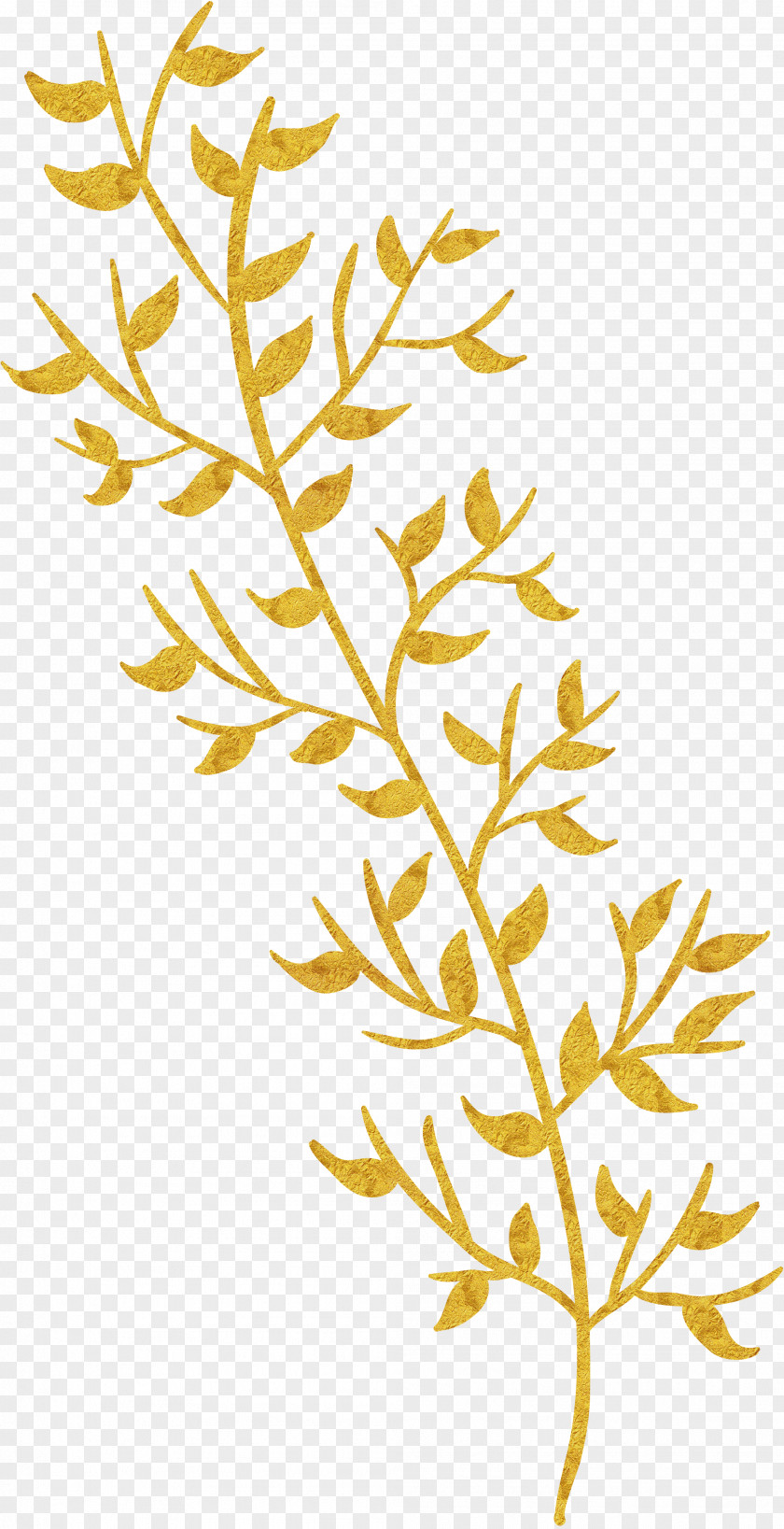 Golden Leaves Leaf Gratis Download PNG
