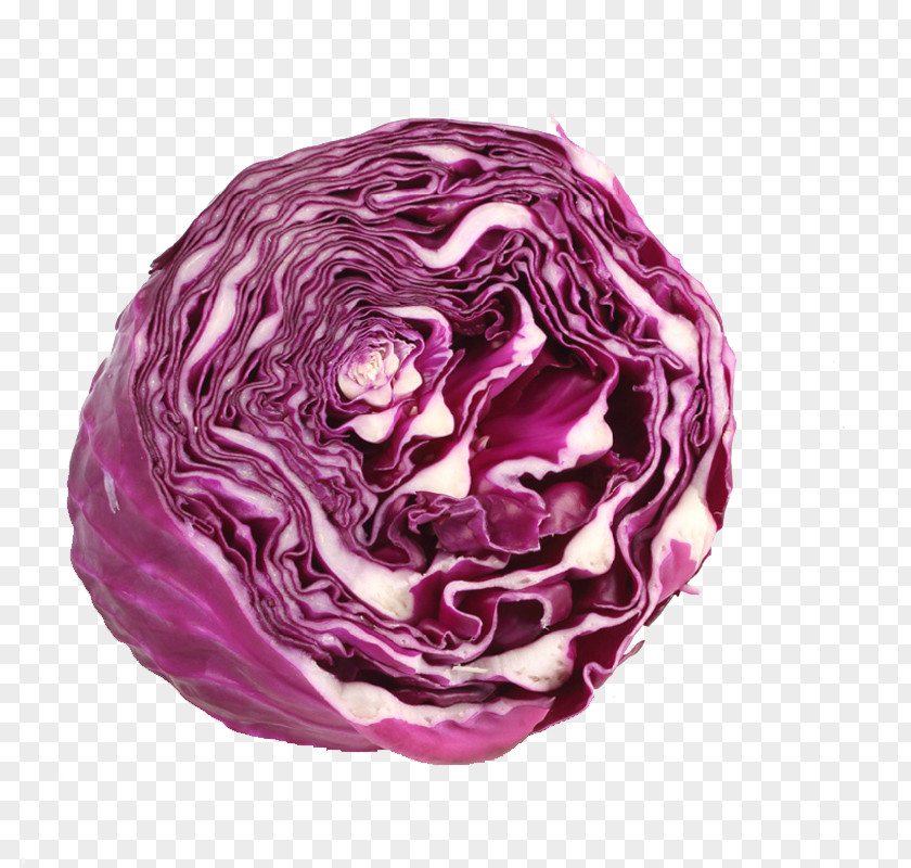 Half Of Purple Cabbage Red Vegetable PNG