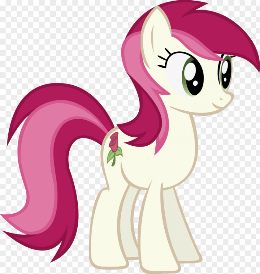 My Little Pony Twilight Sparkle Rainbow Dash PNG