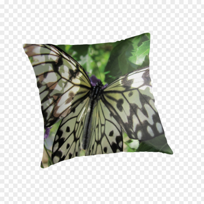 Pillow Throw Pillows Image Red Fairy Wings Monarch Butterfly PNG