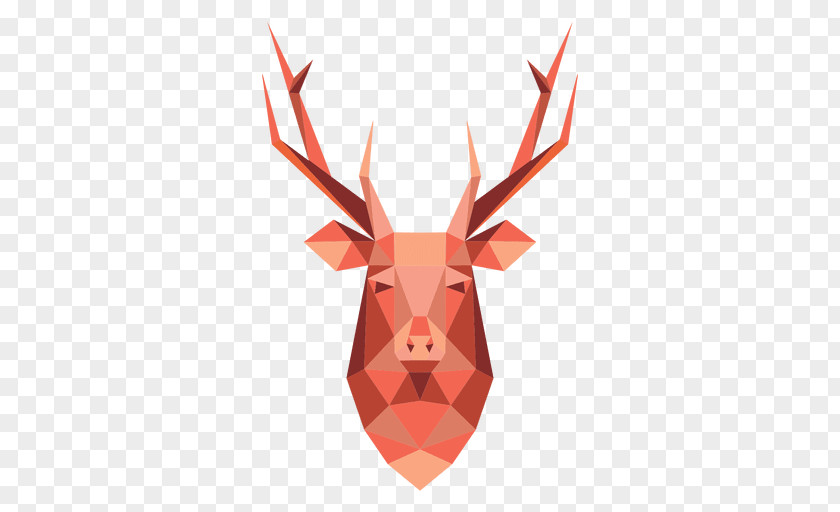 Reindeer Red Deer Antler PNG