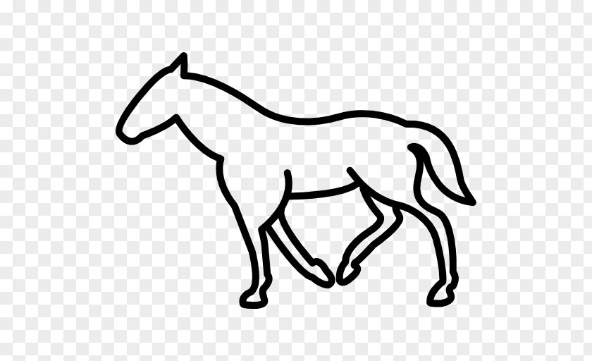 Walking Horse Mule Pony Mustang Foal Colt PNG
