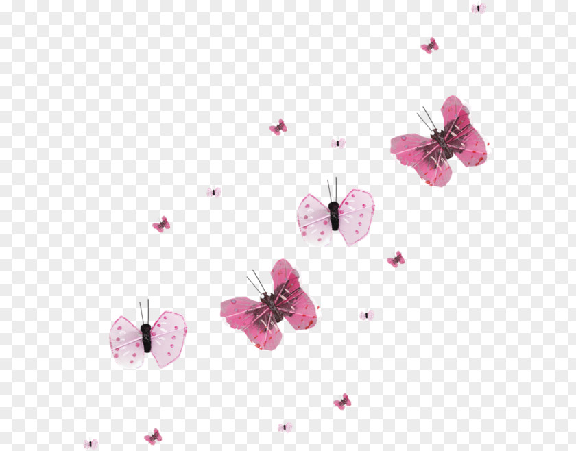 Blood On The Dance Floor Butterfly ST.AU.150 MIN.V.UNC.NR AD Desktop Wallpaper PNG