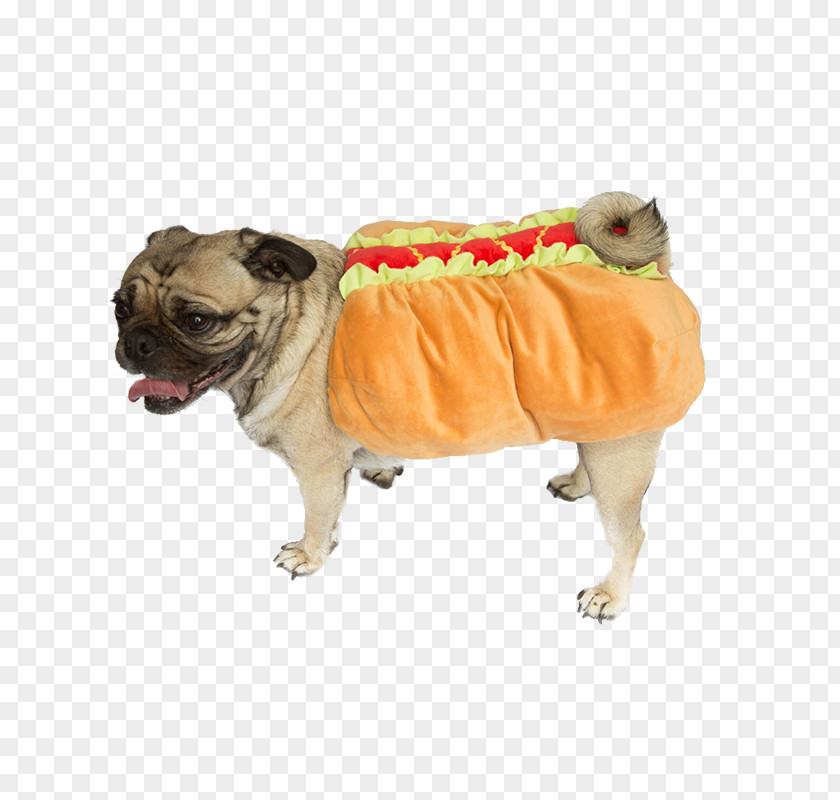 Hotdog Pug Hot Dog Days Pet Costume PNG
