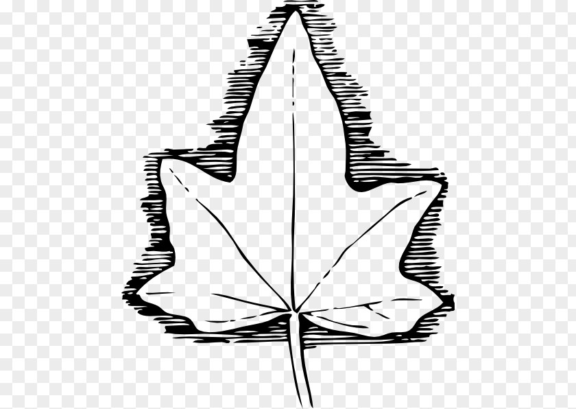 Leaf Pattern Cliparts Ivy Vine Clip Art PNG