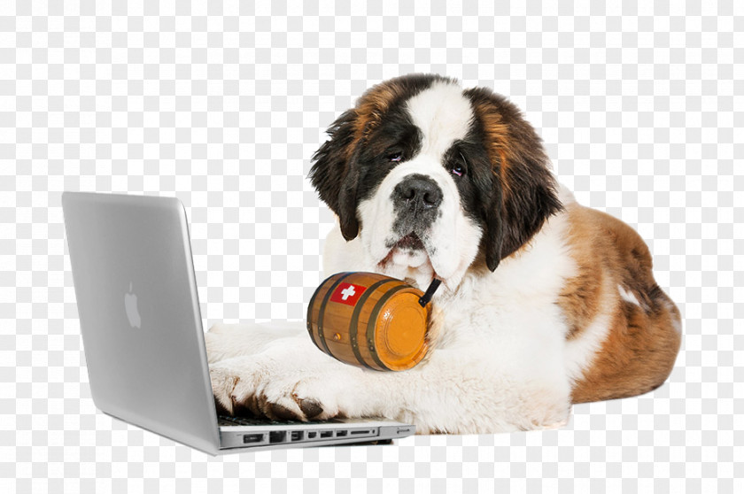 Puppy St. Bernard Bernese Mountain Dog Cat Laptop PNG