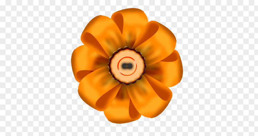 Flower Button Clip Art PNG