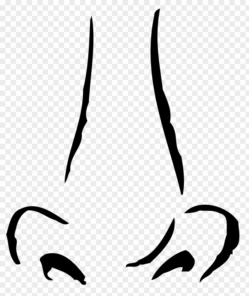 Simple Nose Human Clip Art PNG