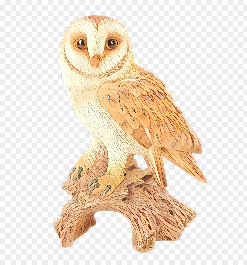 Animal Figure Bird Of Prey Cartoon PNG