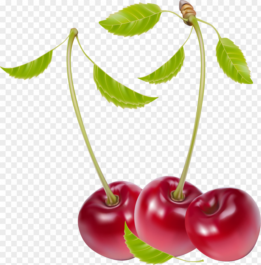 Berries Cherry PNG