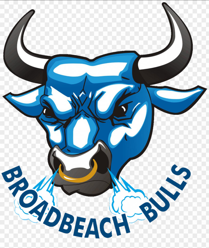 Broadbeach Bowls Club Broadbeach, Queensland 2018 Commonwealth Games Surf Parade United SC PNG