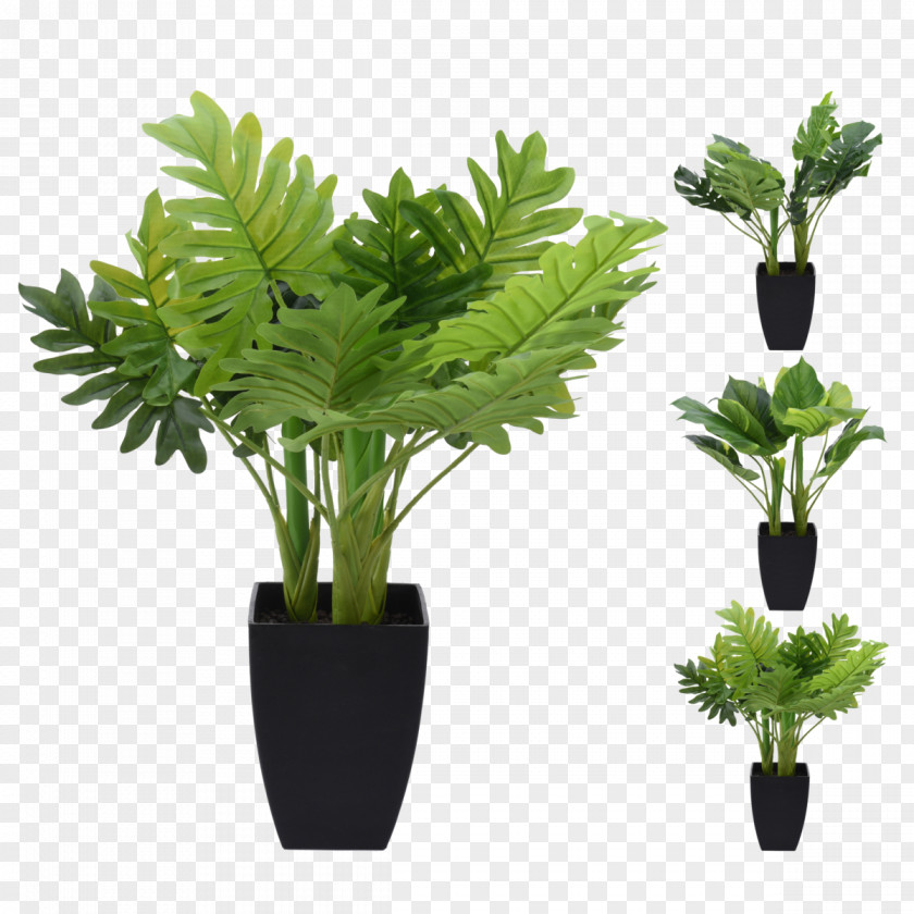 IKEA Catalogue Ornamental Plant Artificial Flower Price PNG