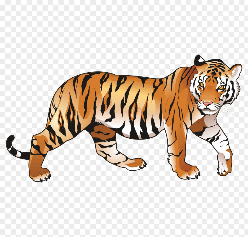 India Riding The Tiger: How To Execute Business Strategy In Bengal Tiger Management PNG