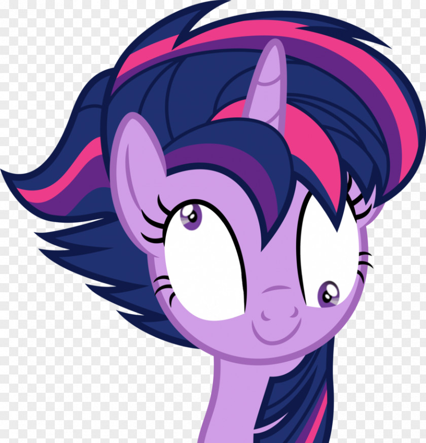 My Little Pony Twilight Sparkle Rainbow Dash Rarity Applejack PNG