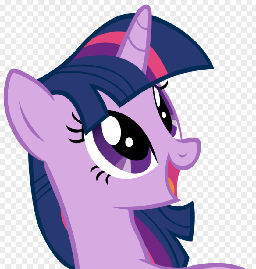Sparkle Twilight Rarity Pinkie Pie Rainbow Dash Pony PNG