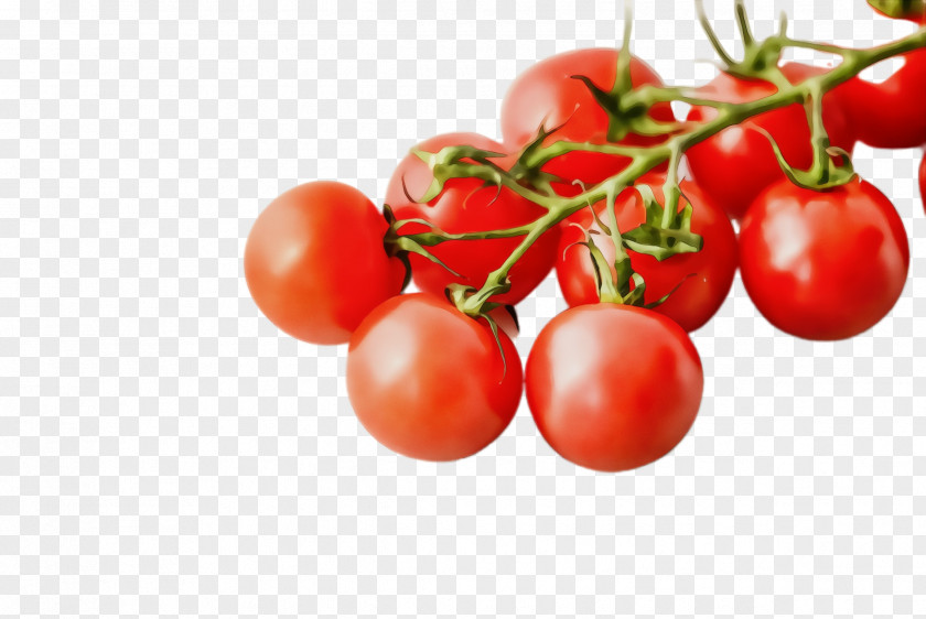 Tomato PNG