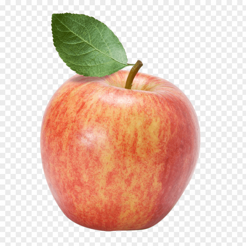 Business Accessory Fruit Diet Food Apple PNG