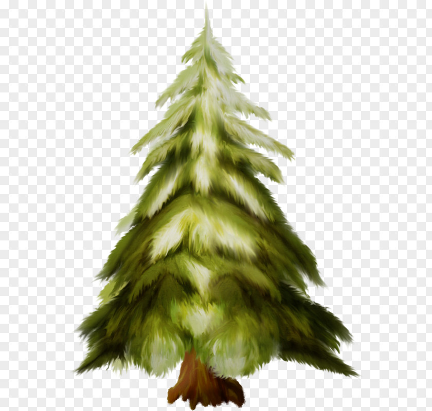 Christmas Tree Ornament Fir Spruce Pine PNG