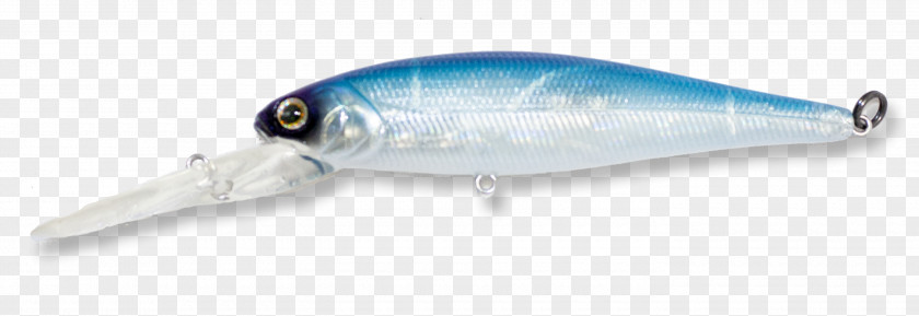 Fishing Baits & Lures Bass Worms Recreation PNG