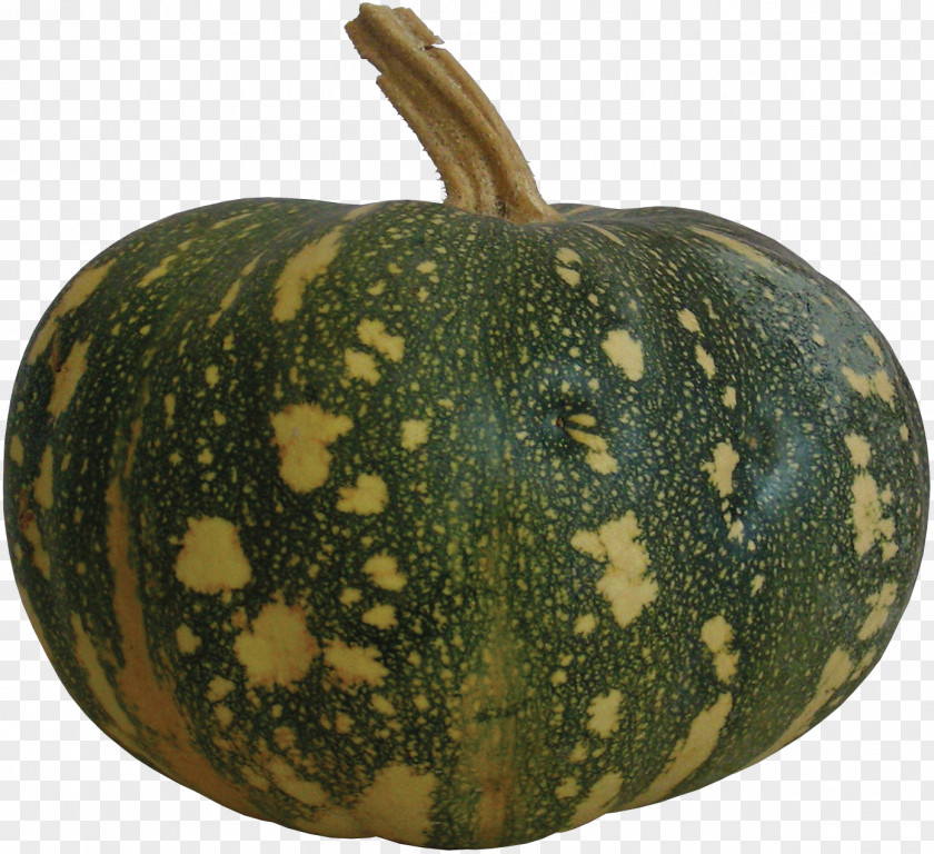 Melon Pumpkin Figleaf Gourd Calabaza Winter Squash PNG