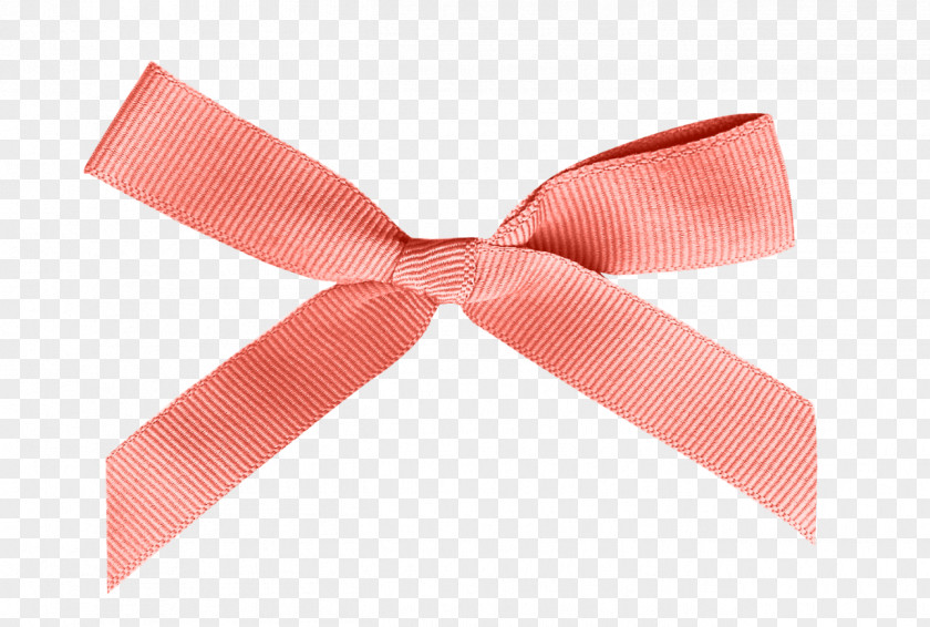 Organge Ribbon Bow Tie PNG